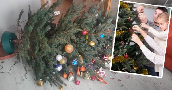 "Mąż źle obsadził choinkę. Bombki za pięć stów poszły... To wszystko wina męża"