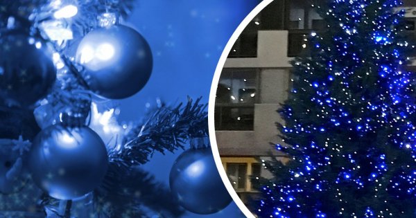 "Teściowa ubiera choinkę tylko w niebieskie ozdoby. Aż wstyd zrobić sobie przy tym drzewku zdjęcia..."