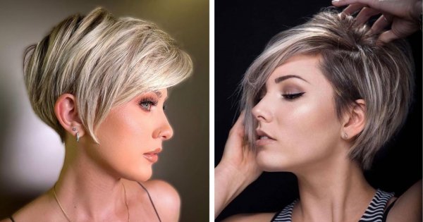 Pixie bob w trendach na maj 2023. Poznaj 15 najnowszych propozycji