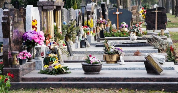 "Synowa przyprowadziła na cmentarz psa. Stało się coś strasznego!"