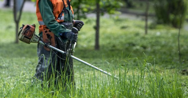 "Przed moim blokiem znów golą trawnik do zera. Brak słów... A miała być tam łąka kwietna"