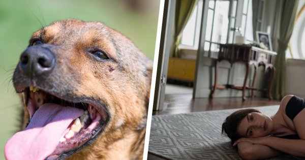 "Adoptowałam psa po śmierci mojego męża. Czworonóg kompletnie odmienił moje życie"