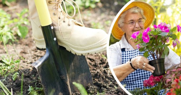 "Teściowa każe mi harować na jej działce! Gdybym chciała grzebać w ziemi, zostałabym grabarzem..."