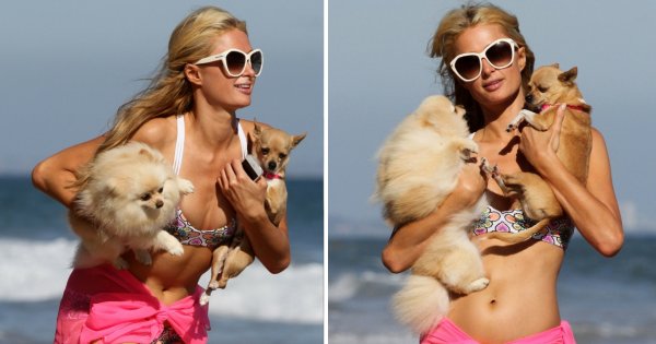 Paris Hilton lekceważy prośby hawajskich władz i wypoczywa na Maui po katastrofalnych pożarach. Kto bogatemu zabroni?
