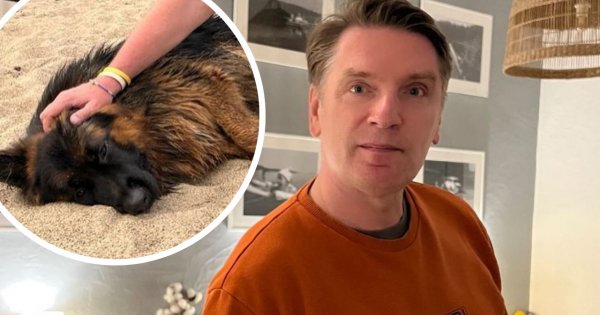 Tomasz Lis biega z psem w upały. Fani apelują: "Wykończy pan psisko kochane"