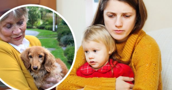 "Sąsiadka nazwała psa imieniem mojej córki! Piszę pismo z wezwaniem o zmianę i żądam oficjalnych przeprosin..."