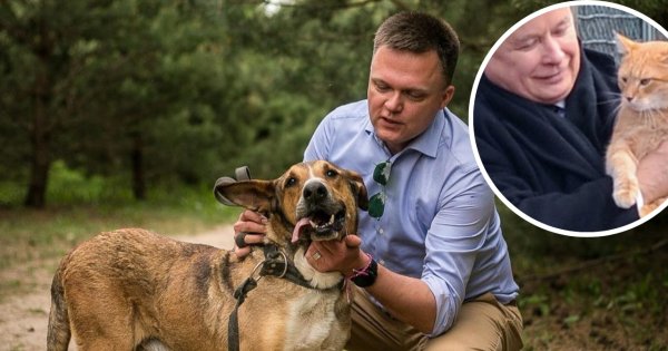 Młody miłośnik psów został skarcony przez starszego kociarza. Padły ostre słowa