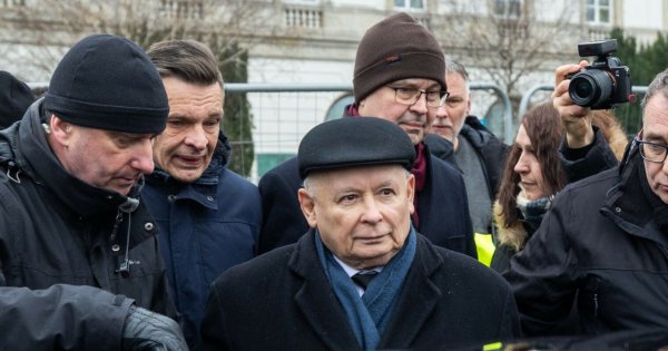 Ekspert ocenił charakter Jarka od kotów. Ta analiza może zaskakiwać