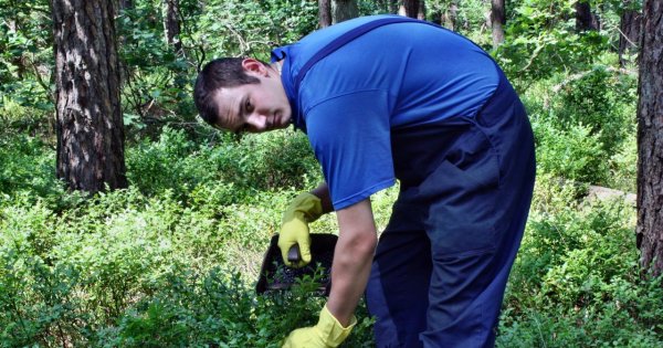 "Sąsiadka udaje bogaczkę, a jej mąż tak naprawdę zbiera owoce za granicą"