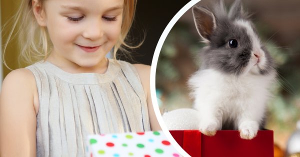 "Kupiłam wnusi od zajączka coś, na widok czego oszaleje z radości! Już nie mogę się doczekać jej reakcji"