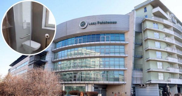 Skandal w Lasach Państwowych! Prywatne WC za 100 tysięcy [wideo]