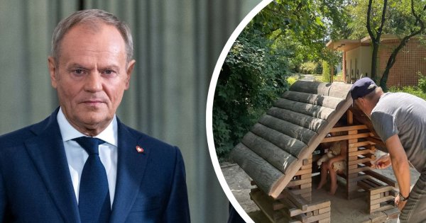 Donald pokazał, jak spędził niedzielne popołudnie z wnuczkami w Łazienkach [memy]