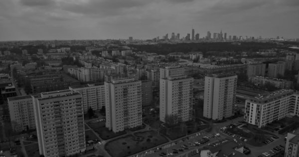 Pluskwy – plaga, która dotyka miasta. Problem, który może dotknąć każdego