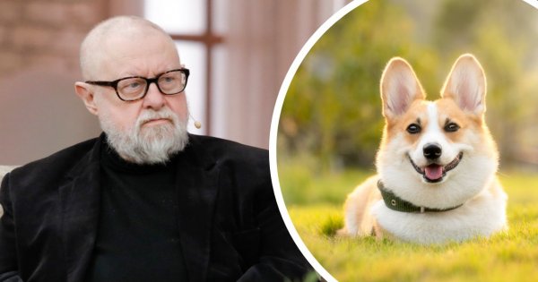 Jerzy Bralczyk niefortunną wypowiedzią o psach wywołał memy. Fani śmieszkują