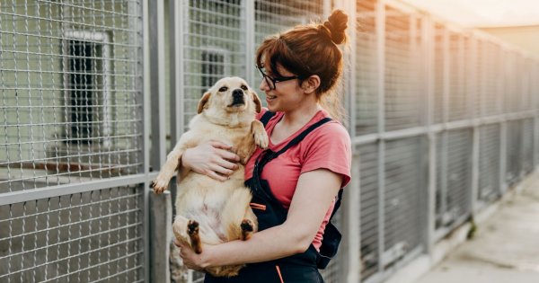 "Brat miał zająć się moim psem podczas urlopu. Zamiast tego oddał go do schroniska"