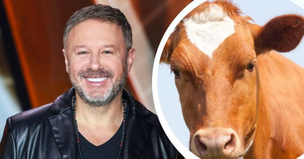 Andrzej Piaseczny z rozrzewnieniem wspomina przeszłość. Jeździł na saksy strzyc krowy