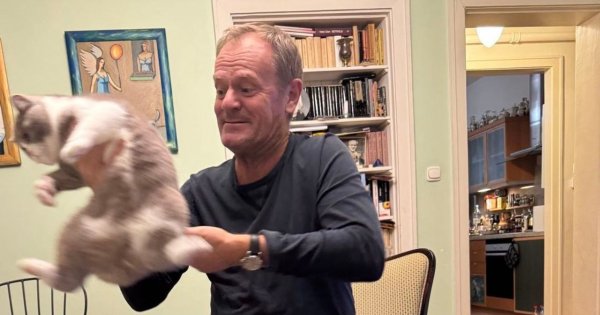 Donald ma nowego kota. Internauci porównują go do znanego futrzaka i produkują memy [memy]