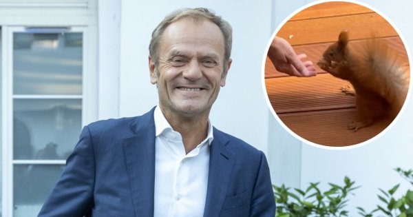 Donek Dolittle karmi wiewiórkę, a fanki pieją z zachwytu. "Zwierzęta czują dobrych ludzi" [wideo]