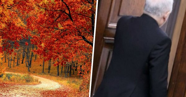 Jarek zaliczył wpadkę. Nie mógł się wyprostować na wizji, bo za bardzo się objadł. Nawet w lesie szukał ulgi [wideo]