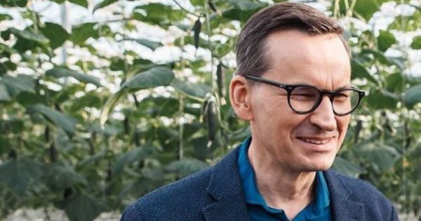 Mateusz zrobił mema. Wygląda jakby świeżak właśnie odkrył istnienie grafiki