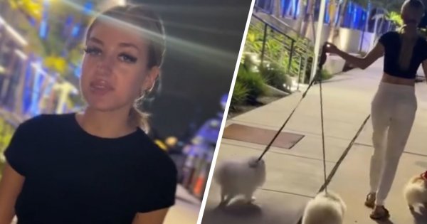 Caroline Derpieński wyprowadza pieski. Wzięła zlecenie, lecz naród dziwi się cenie [wideo]
