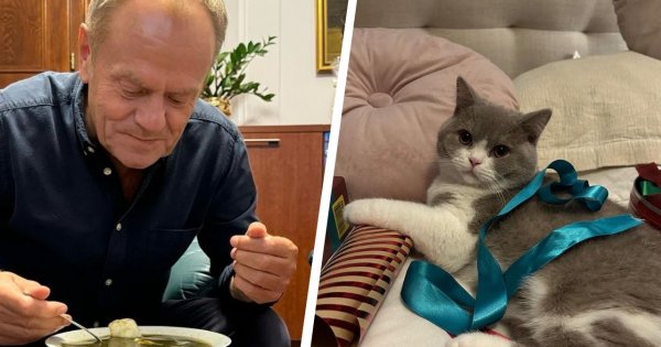 Donaldinho ma powody do zmartwień. Polacy coraz mniej go lubią. Wyniki idą na łeb na szyję