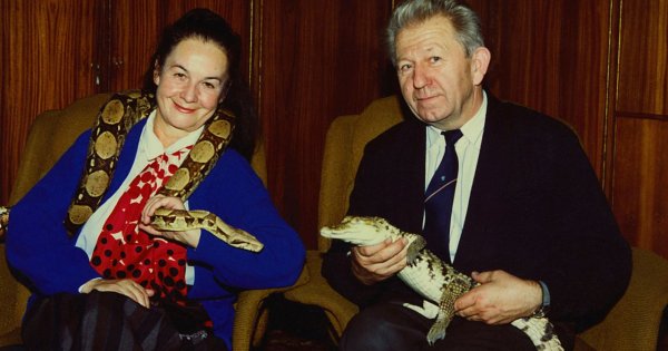 Hanna i Antoni Gucwińscy. Historia miłości w cieniu skandalu — o tym mówiła cała Polska