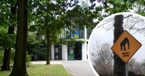 Makabra w opolskim zoo. W chłodni znaleziono szczątki sprzed 10 lat. "Widok był wstrząsający"