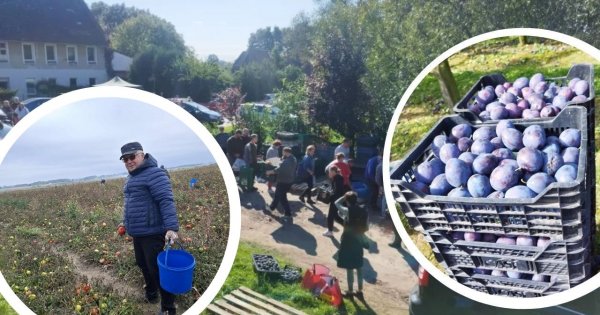 Ich plony miały zgnić w polu. Posty pokazały prawdziwą siłę Polaków. "Tyle aut jeszcze tu nie widziałem"
