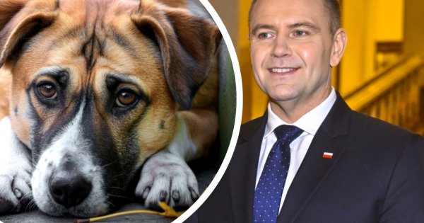 Karol Nawrocki zawetował ustawę łańcuchową, a podpisał zakaz hodowli zwierząt na futra