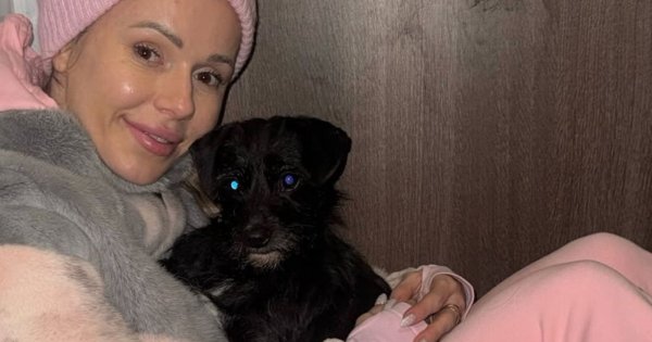 "Miesiącami są głodzone". Roztrzęsiona Doda ujawnia horror w schronisku dla psów: "Wchodzą do jeszcze większego piekła"