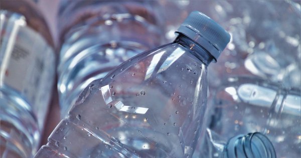 Tak oszukują butelkomaty. Rekordzista wyłudził prawie 200 tys. zł jedną butelką. "To logistyczne arcydzieło"
