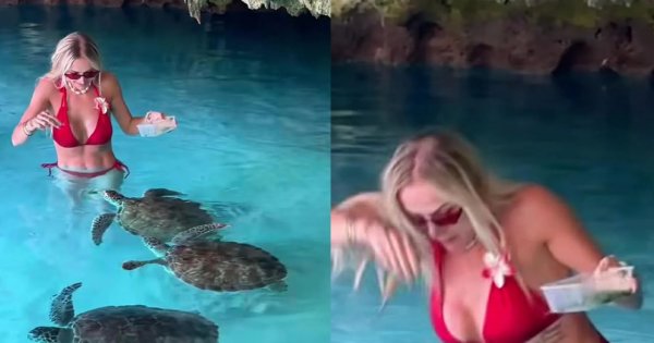 Eliza Trybała w mikroskopijnym bikini zaatakowana przez żółwia. Myślała, że będzie uroczo, a skończyło się krzykiem [wideo]