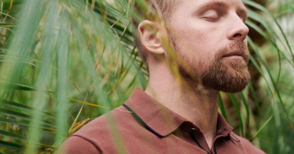 Koszule polo męskie – jak wybrać model idealny i dlaczego warto postawić na jakość Próchnik?