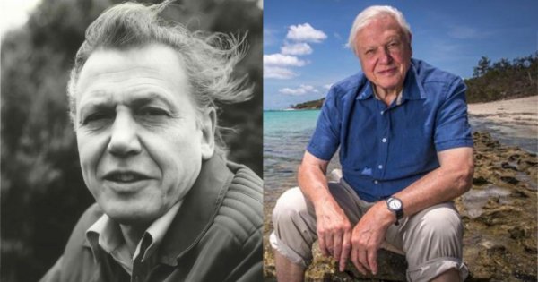 David Attenborough kończy 100 lat. To on wymyślił "ten mały przedmiot", historia wbija w fotel