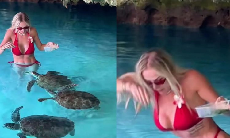 Eliza Trybała w mikroskopijnym bikini zaatakowana przez żółwia. Myślała, że będzie uroczo, a skończyło się krzykiem [wideo]