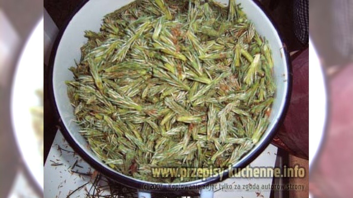 IMG00001_resize kopia.jpg