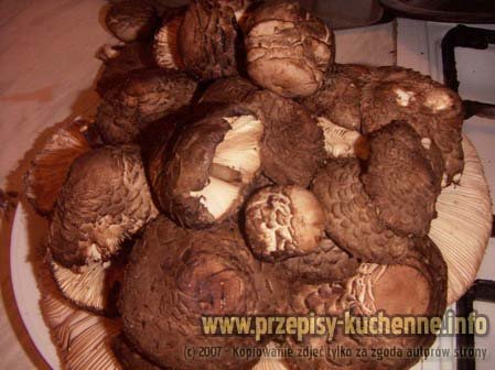 PICT0001_resize kopia.jpg
