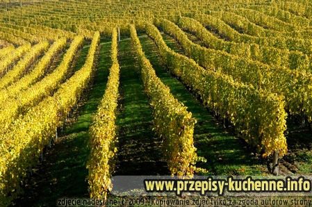 moscato-kopia moscato-kopia
