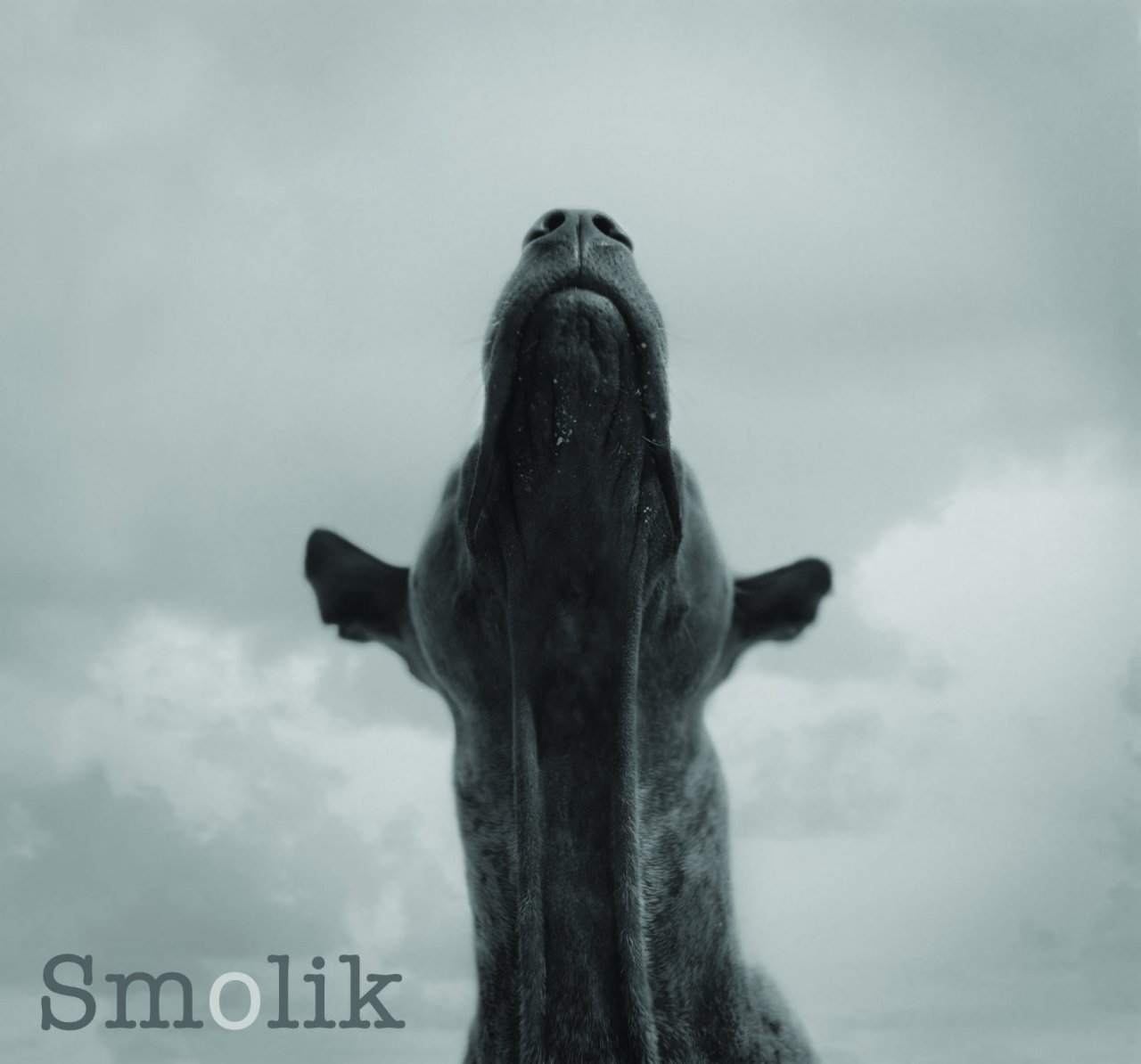 SMOLIK