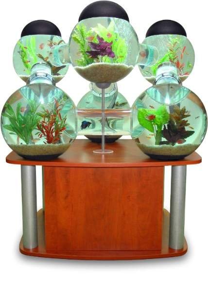 źródło: www.opulentitems.com