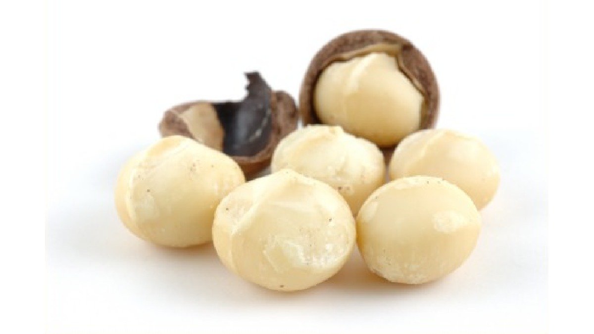 Makadamia