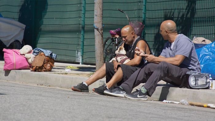 Weterynarz przemierza ulice, aby za darmo nieść pomoc zwierzętom osób bezdomnych