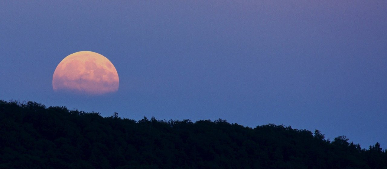 Różowy księżyc: Już dzisiaj możesz oglądać największy księżyc w pełni w 2020 roku