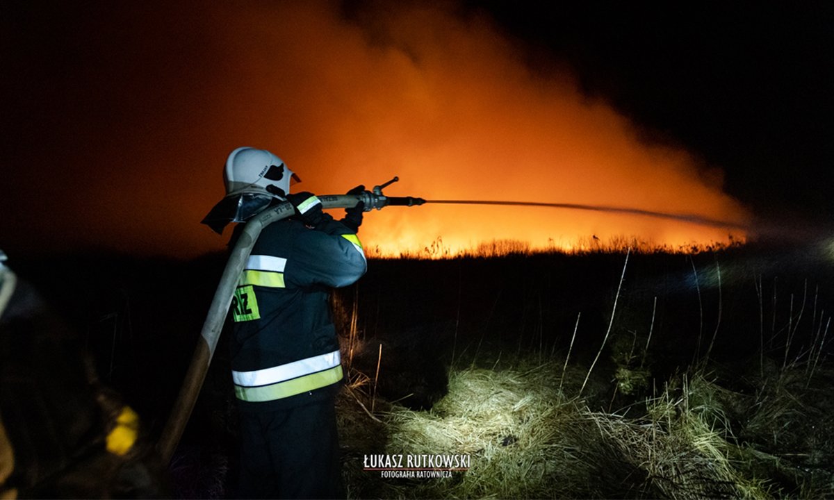 Od niedzieli trwają pożary w Biebrzańskim Parku Narodowym. Straty są ogromne! Sprawdź jak można pomóc