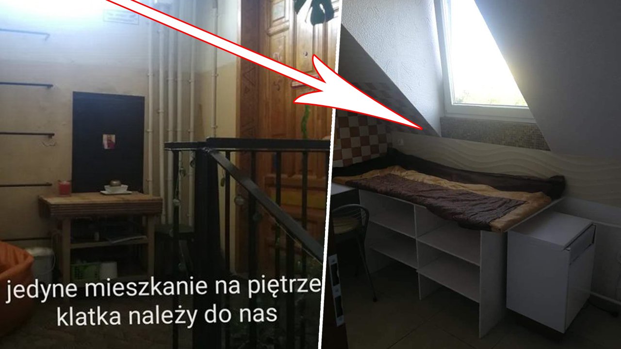 Wrocław: 1-osobowy pokój za 650 zł ze spaniem na regale i kafelkami na ścianach?! Cena adekwatna?