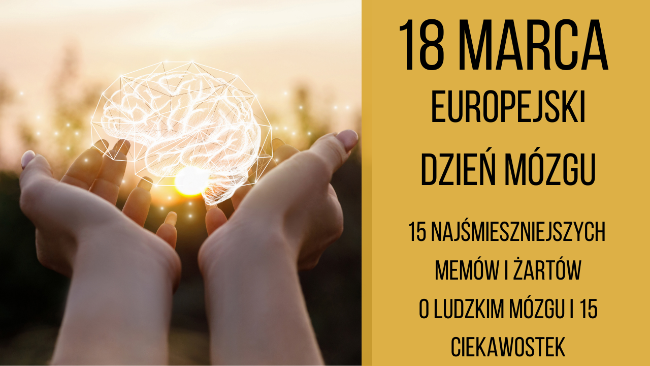 Europejski Dzień Mózgu - 15 ciekawostek o ludzkim mózgu. Memy i żarty