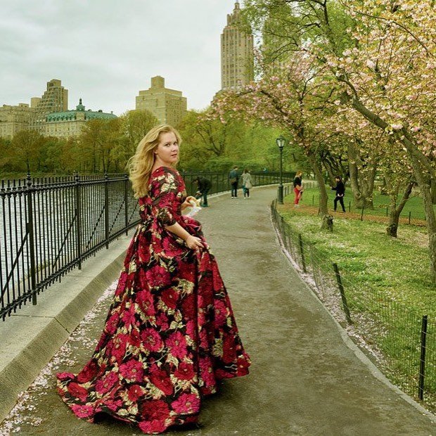 amy-schumer mąż choroba autyzm