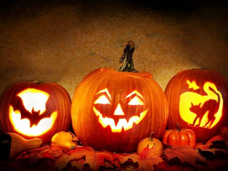 dynia-halloween dekoracje na halloween zainspruj się!