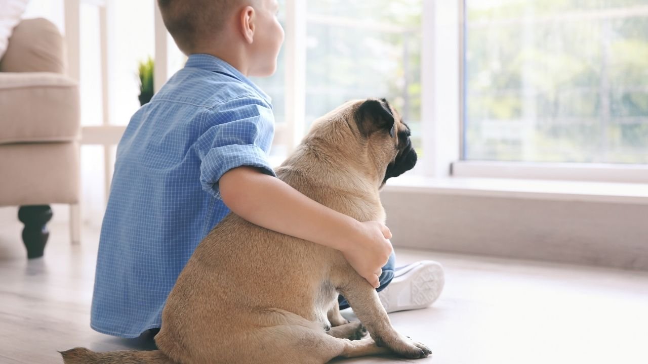 chłopiec siedzi na podłodze z psem